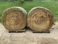 2 4'x5' Round Bales of Grass Hay - Net Wrapped