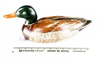 Big Sky Carvers Wooden Mallard Signed by