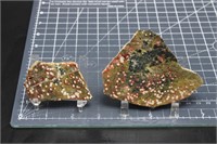 Morgan Hill Poppy Jasper, 2 Pieces, 3oz