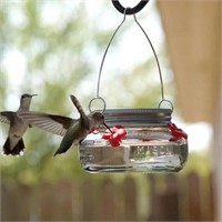 Nature's Way Mason Jar Humming Bird Feeder