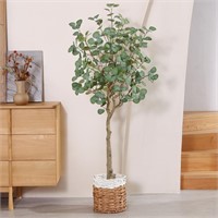 TE9006  "Silk Eucalyptus Tree in Pot"