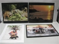 Assorted Prints Largest 15"x 20"