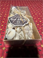 Essential Designs Box of Sea Shells