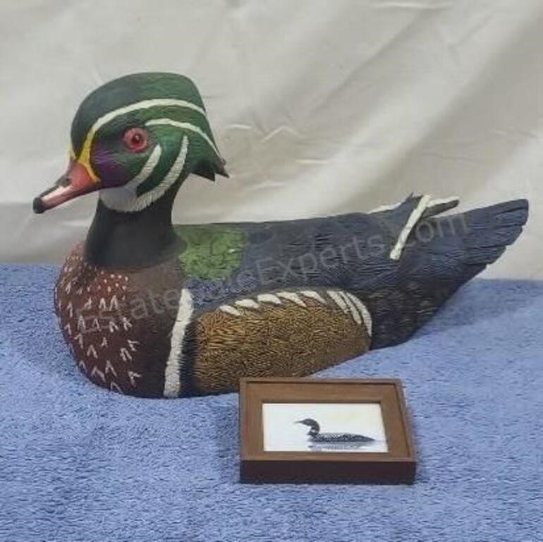 Carved wood duck (life size) and small framed