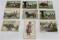 9 Spring Tail Post Cards,Most Schmidt Bros