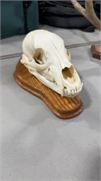 BEAR SKULL