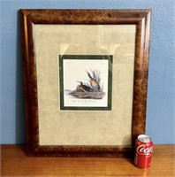 Salt Water Marsh Hen Framed Art