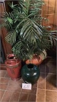 Plant with three vases