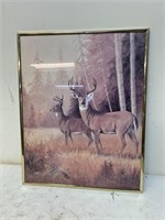 Deer picture