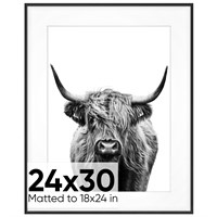 Homeforia 24 x 30 Picture Frame Black, Premium Met