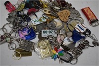 46 Assorted Key Chains