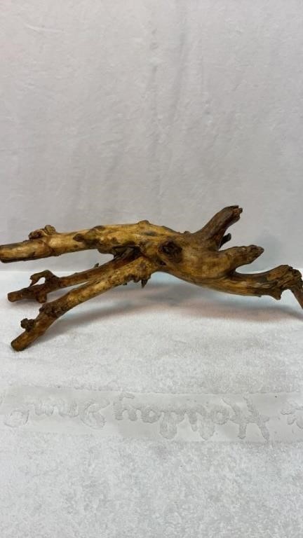 Decorative tree root for display