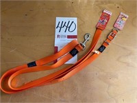 Dog Collar & Lead