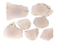 7 Rose Quartz Slices