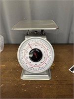 Heavy Duty Mechanical Scale 50kg