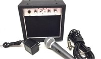 Guitar Amplifier and Microphone