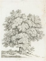 Graphite on Paper Tree Signed Goyer