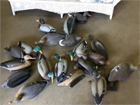 19 plastic duck decoys