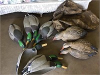 12 plastic duck decoys
