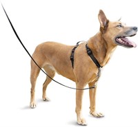 PetSafe 3in1 Harness, Medium, Black