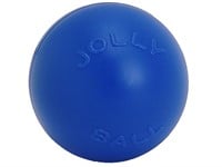 Jolly Pets Push-n-Play Ball Dog Toy, 10