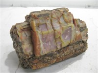 6" Long Petrified Wood Rock Specimen Shown