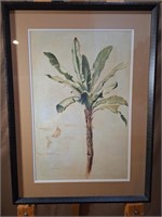 Fabrice de Villeneuve Tropical Banana Palm Tree