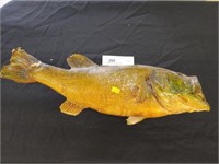 Taxidermy Large Mouth Bass