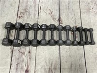 Workout Dumbbell's