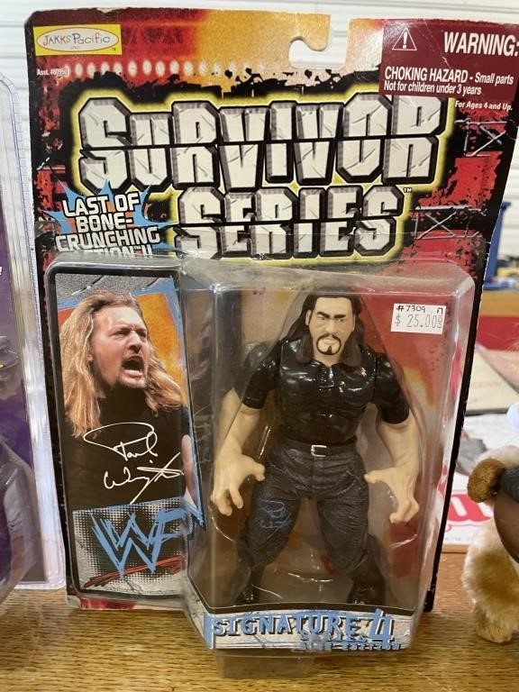 Survivor series Figurine