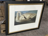 4 Swan Art Prints from Quintessa Collection.