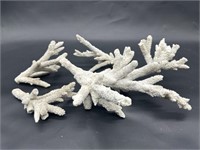 (4) Pieces of Natural Antler Coral
