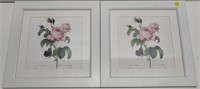 2 Framed Floral Prints