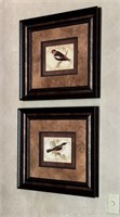 2 PC Decorative Framed Bird Art