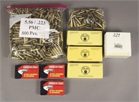 Assorted .223 Ammo Casing - American Eagle