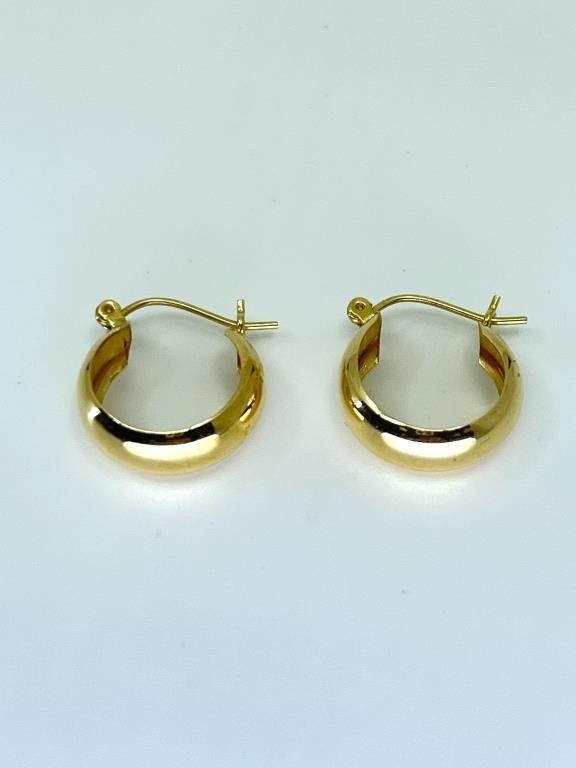 10K Gold Pair of Earrings