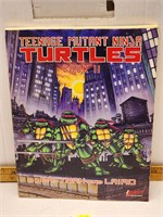 Teenage Mutant Ninja Turtles Book II