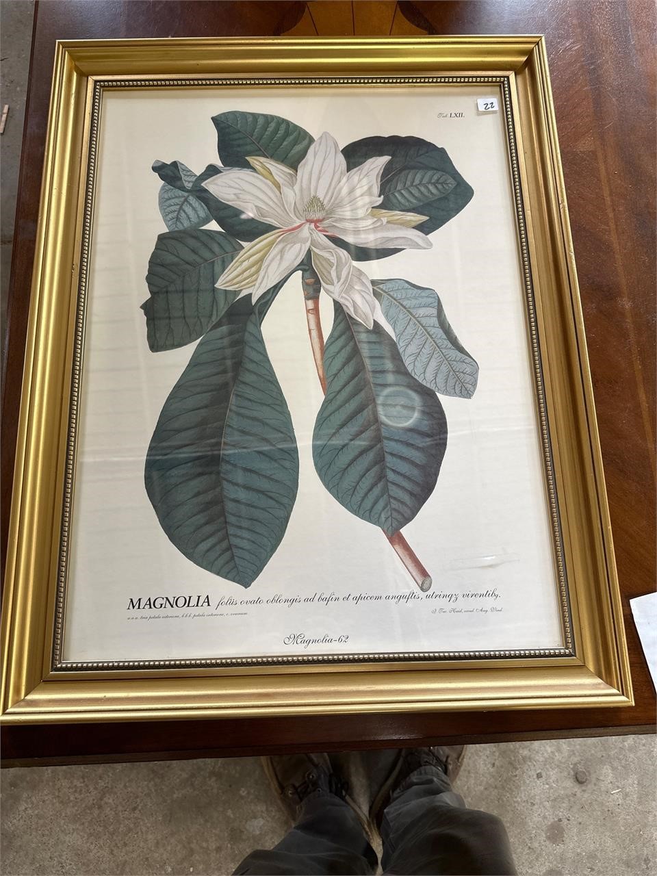 Magnolia with Gold Frame