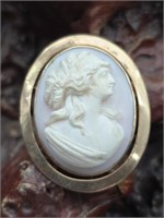 Vintage Carved Shell Cameo / Brooch GP ?