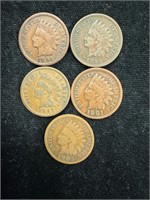 Lot of Five Indian Head Pennies