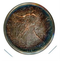 1995 American Silver Eagle - Toning with Start of