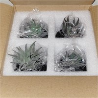 NIB 4 Pack Arthemes Succulent Plant Decor