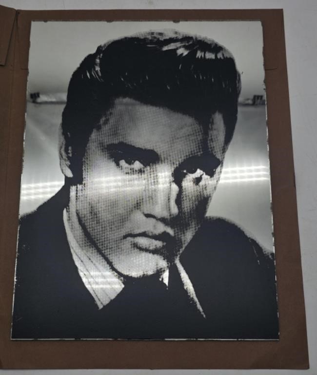 (PQ) Elvis mirror picture 9x12in