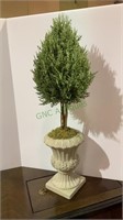 Topiary pot with an evergreen bush.