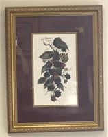 B Sumrall Still Life Fruit Print, signed 17