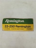 20 rounds Remington 22-250 55 grain soft point