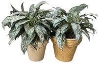 Two Artificial Plants in Ceramic Pots