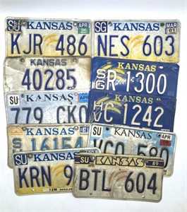 (10) Kansas License Plates