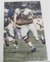 Gale Sayers - Chicago Bears Poster 11 x 17