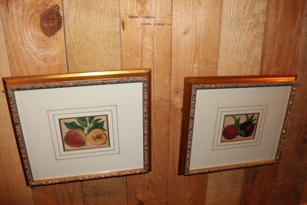 2 Gold frame fruit pictures - peaches and plums